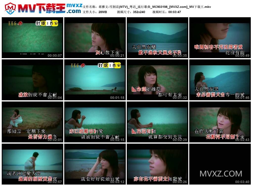 蒋雅文-雪割花(MTV)_粤语_流行歌曲_MC903198